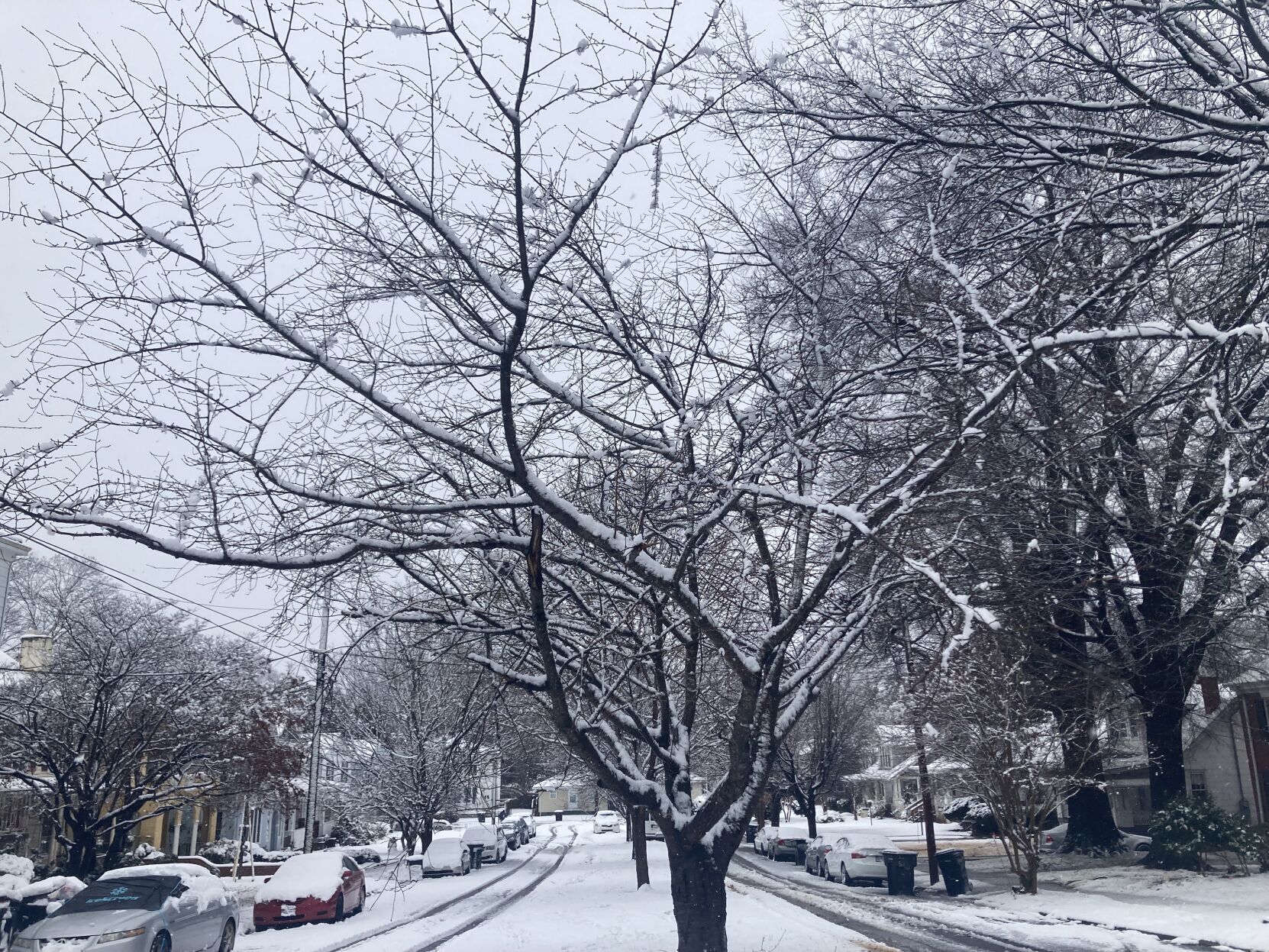 Snow in Danville